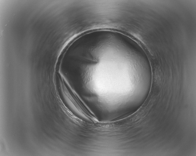 X0000056371460200509161842