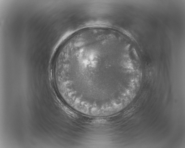 X0000056371462200509161842