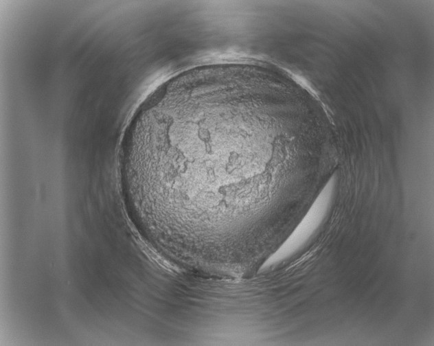 X0000056371463200509161842