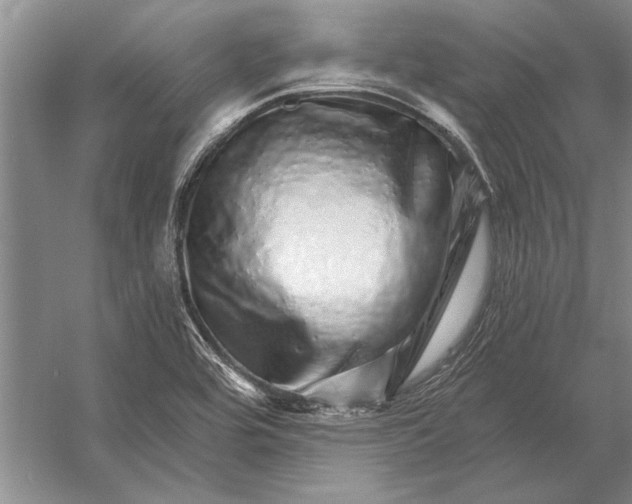 X0000056371464200509161842