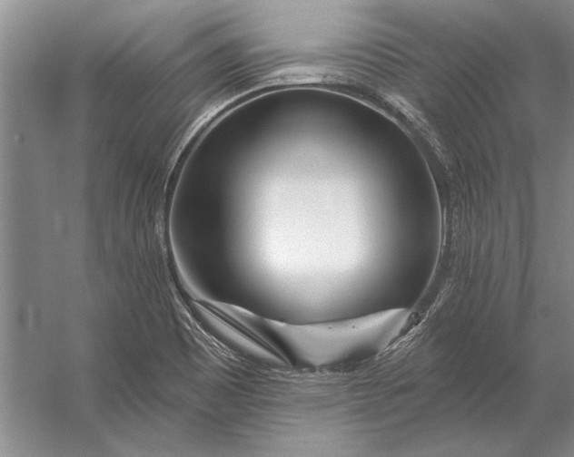 X0000056371465200509161842