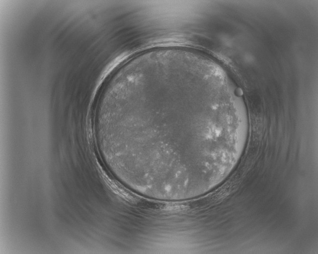 X0000056371466200509161841