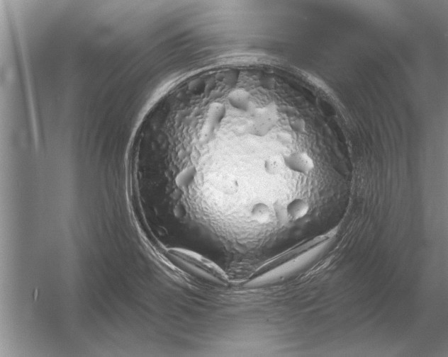 X0000056371467200509161841