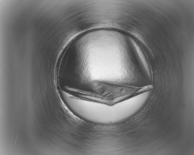 X0000056371468200509161841