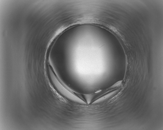 X0000056371469200509161841