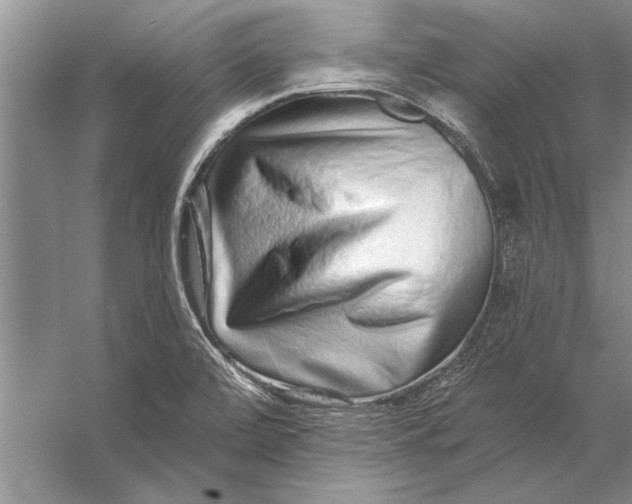 X0000056371472200509161841