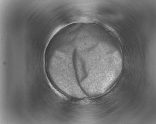 X0000056371479200509161841