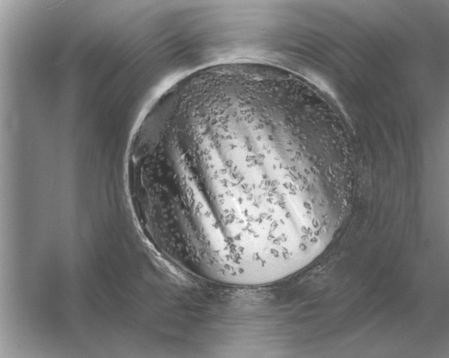 X0000056371480200509161841