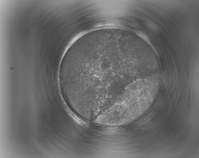 X0000056371482200509161841