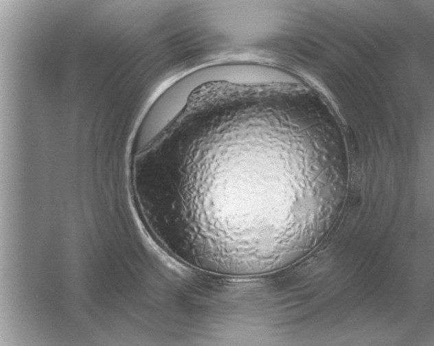 X0000056371483200509161841