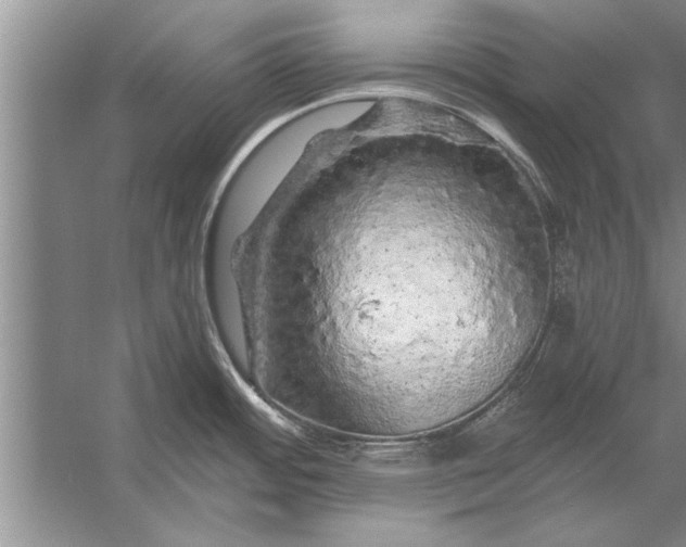 X0000056371484200509161841