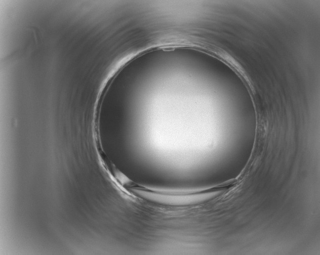 X0000056371485200509161841