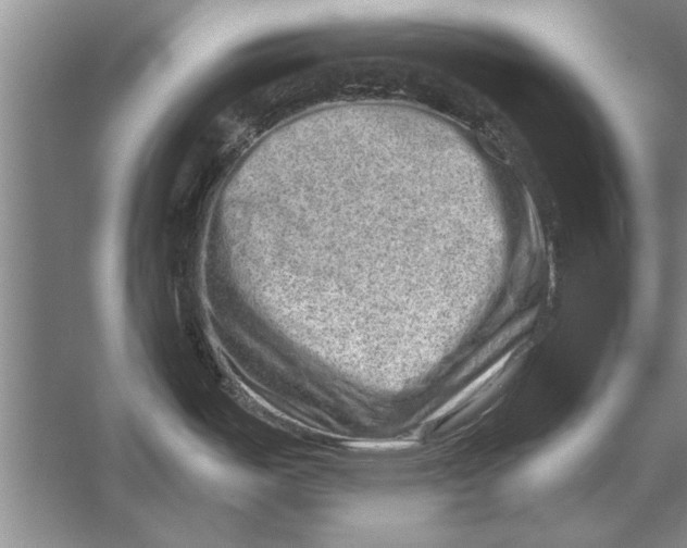 X0000056371487200509161841