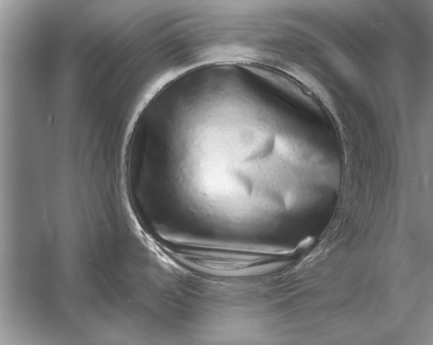 X0000056371488200509161841