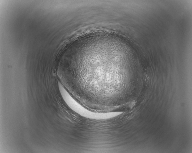 X0000056371490200509161840