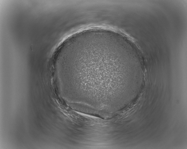 X0000056371496200509161840