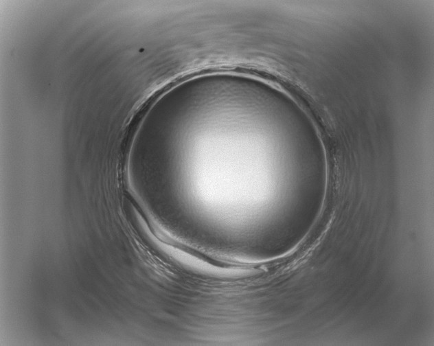 X0000056371497200509161840