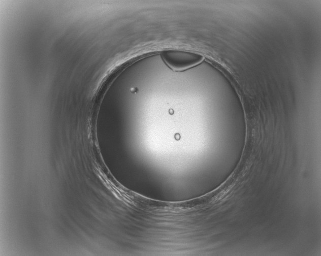 X0000056371499200509161840