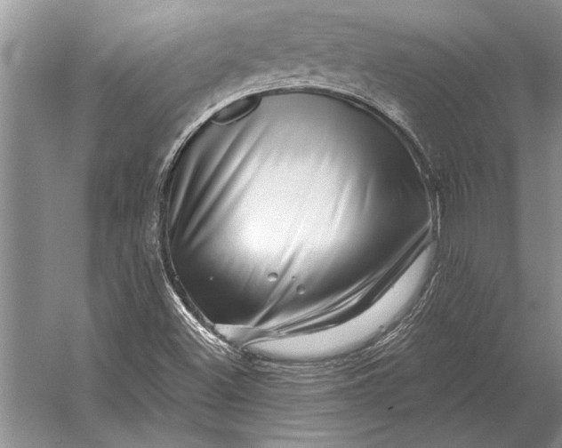 X0000056371500200509161840