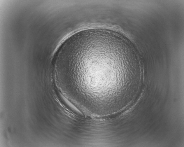 X0000056371501200509161841