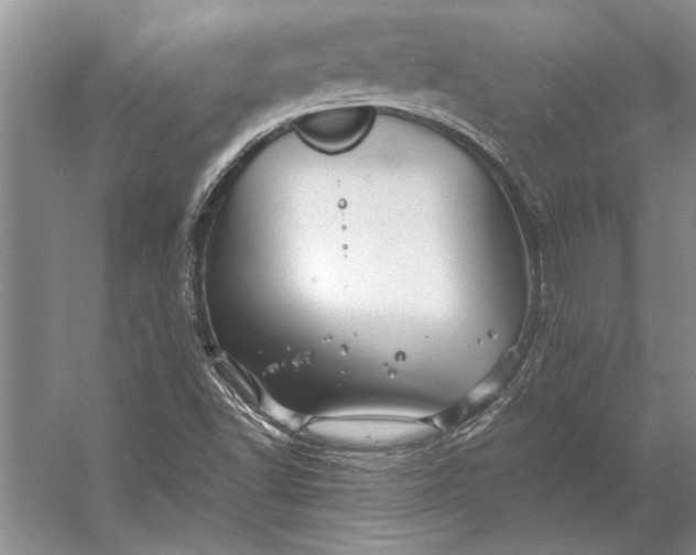 X0000056371502200509161841