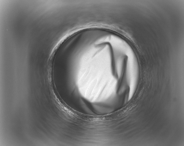 X0000056371504200509161841