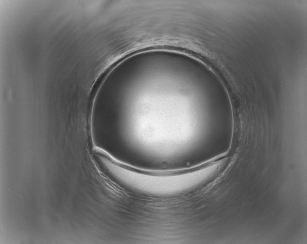 X0000056371505200509161841