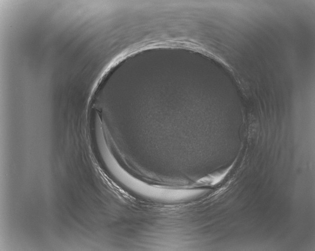 X0000056371506200509161841