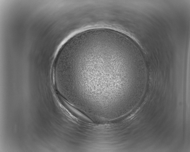 X0000056371510200509161841