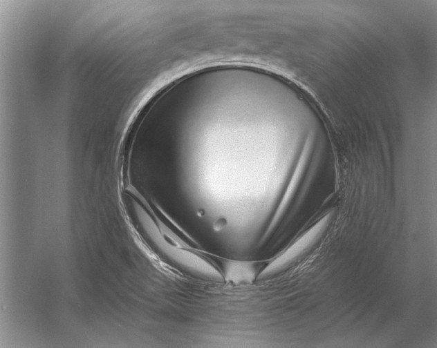 X0000056371511200509161841