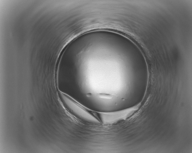 X0000056371513200509161841