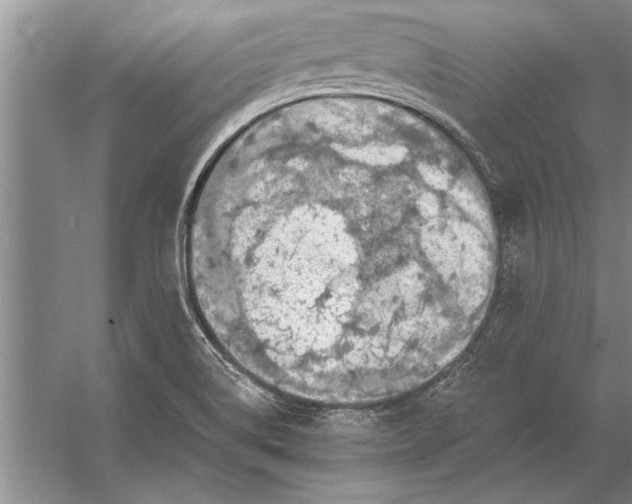 X0000056371514200509161841