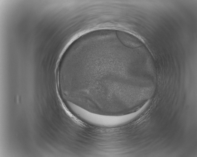 X0000056371515200509161841