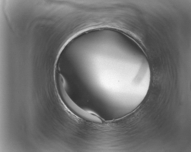 X0000056371516200509161841