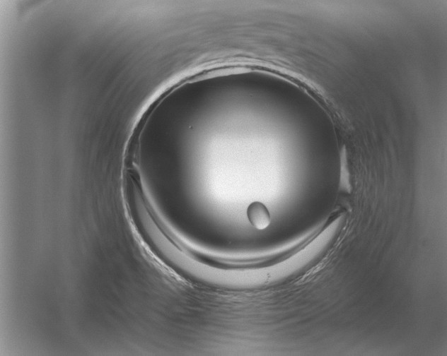 X0000056371518200509161841