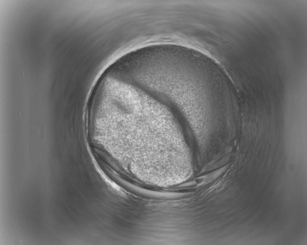 X0000056371519200509161841