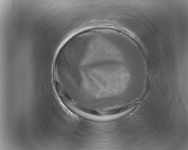 X0000056371520200509161841