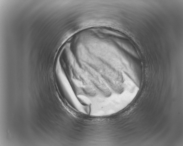 X0000056371521200509161841