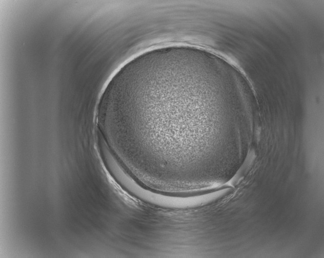 X0000056371524200509161841