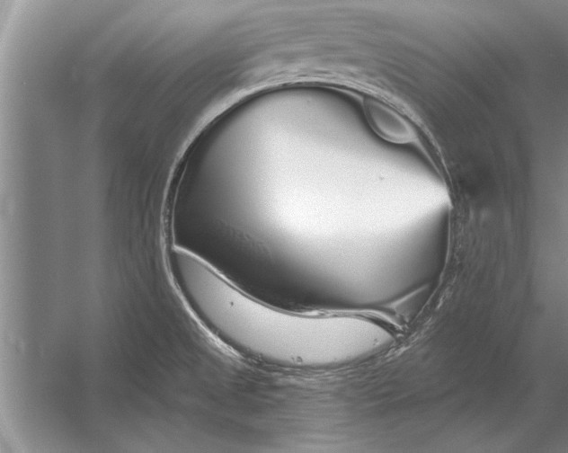 X0000056371525200509161841