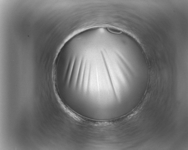 X0000056371526200509161841