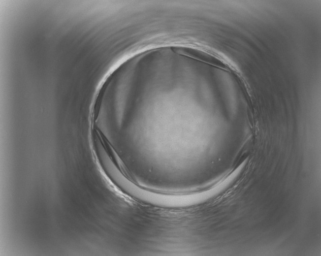 X0000056371528200509161841