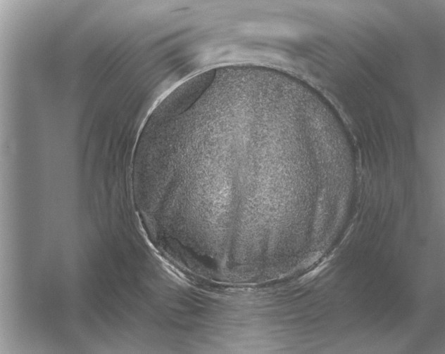 X0000056371529200509161841