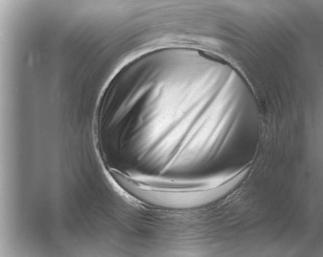 X0000056371531200509161841