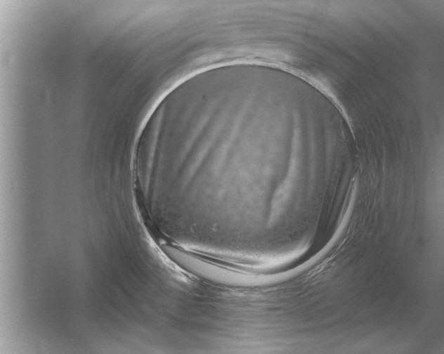 X0000056371532200509161841