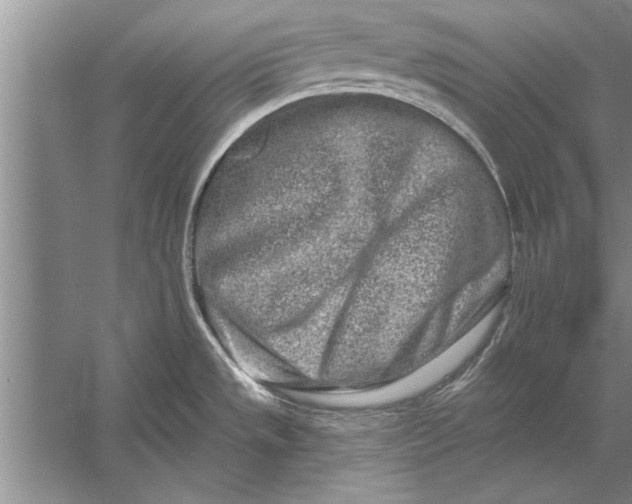 X0000056371533200509161841