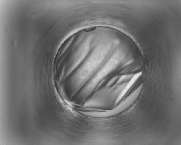 X0000056371534200509161841