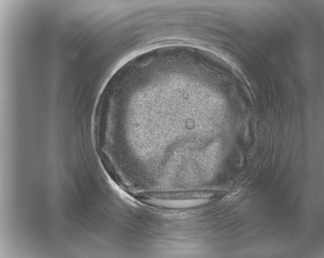 X0000056371535200509161841