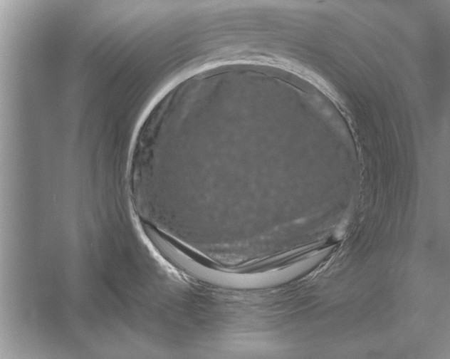 X0000056371536200509161841