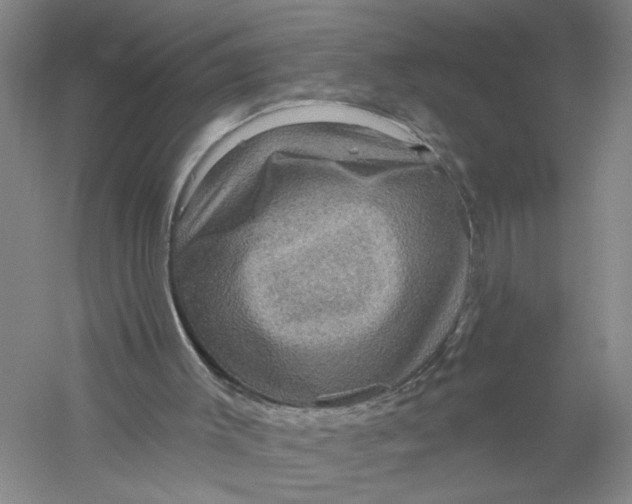X0000056370003200509232210